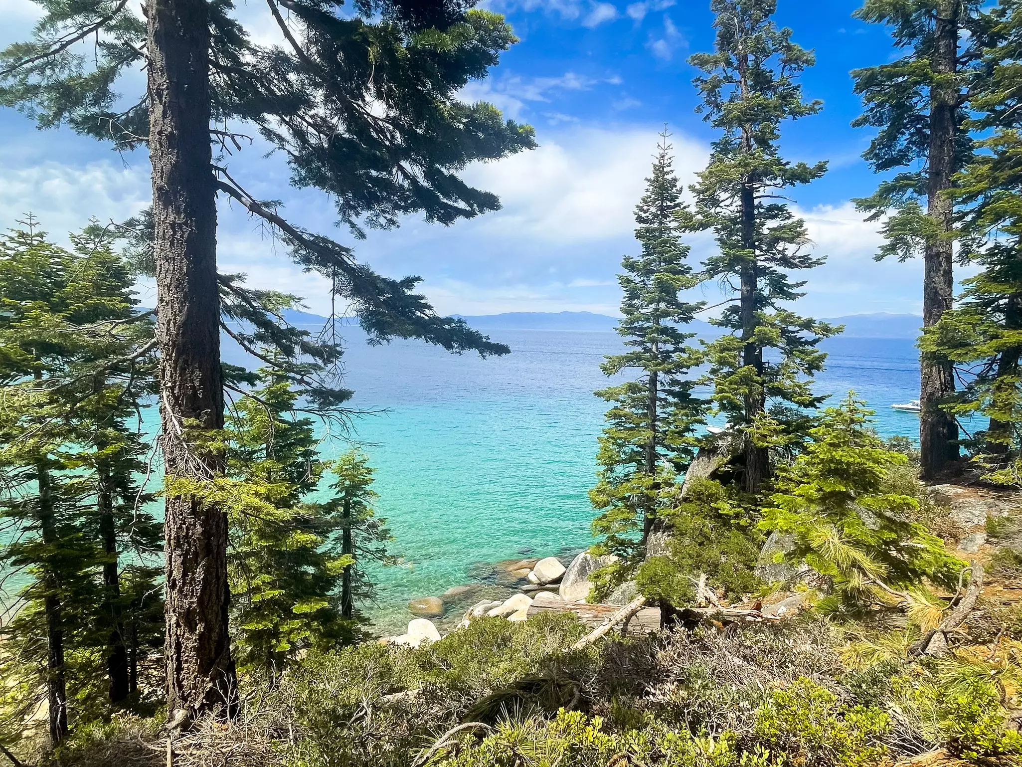 A turquoise lake through pine trees; distant mountains are on the far shore.