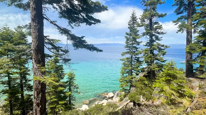 A turquoise lake through pine trees; distant mountains are on the far shore.
