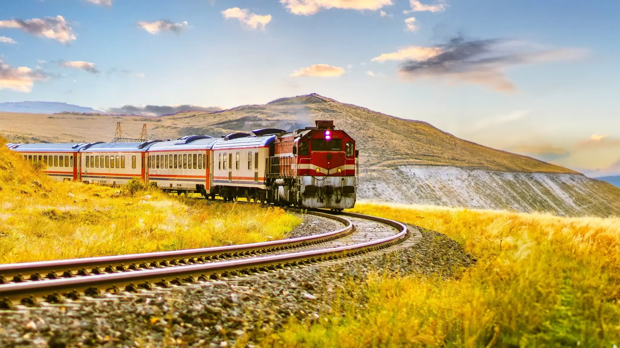 A train travels past a field of yellow wildflowers in Turkey.