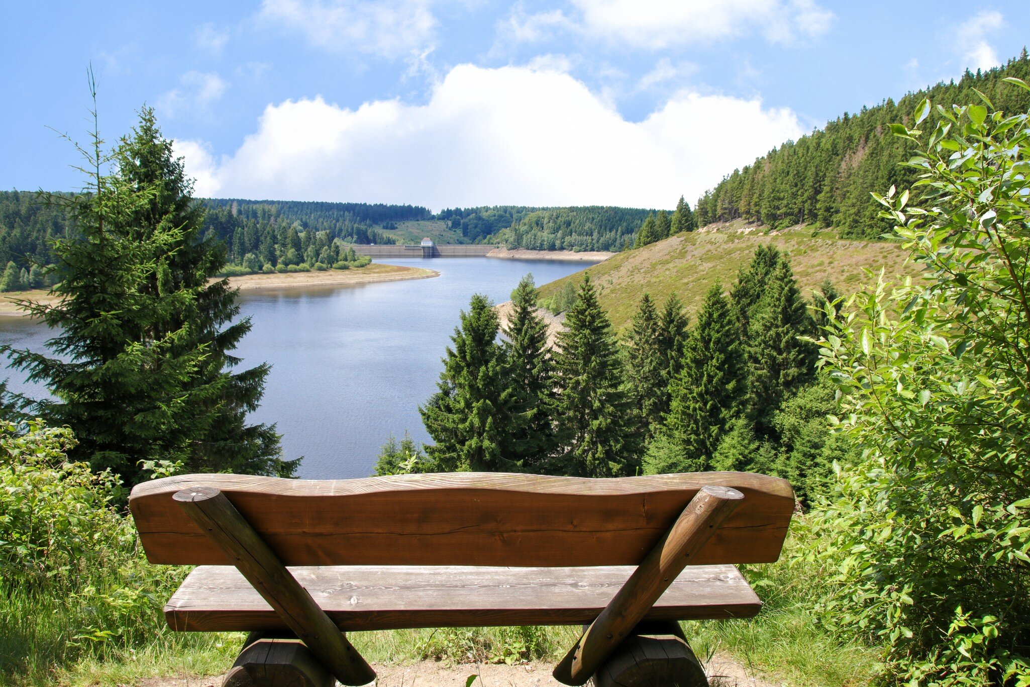 National Park Harz, Hiking Trail Eckerstausee; Shutterstock ID 1233097477;
