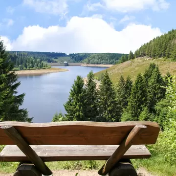 National Park Harz, Hiking Trail Eckerstausee; Shutterstock ID 1233097477;