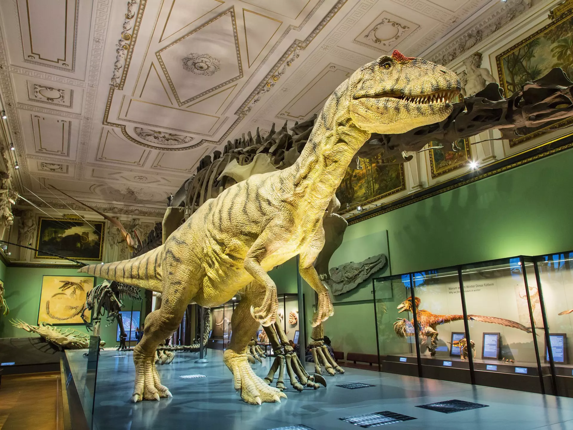 The collection at Vienna's Natural History Museum is intimidatingly large. Sylvain Sonnet / Getty Images