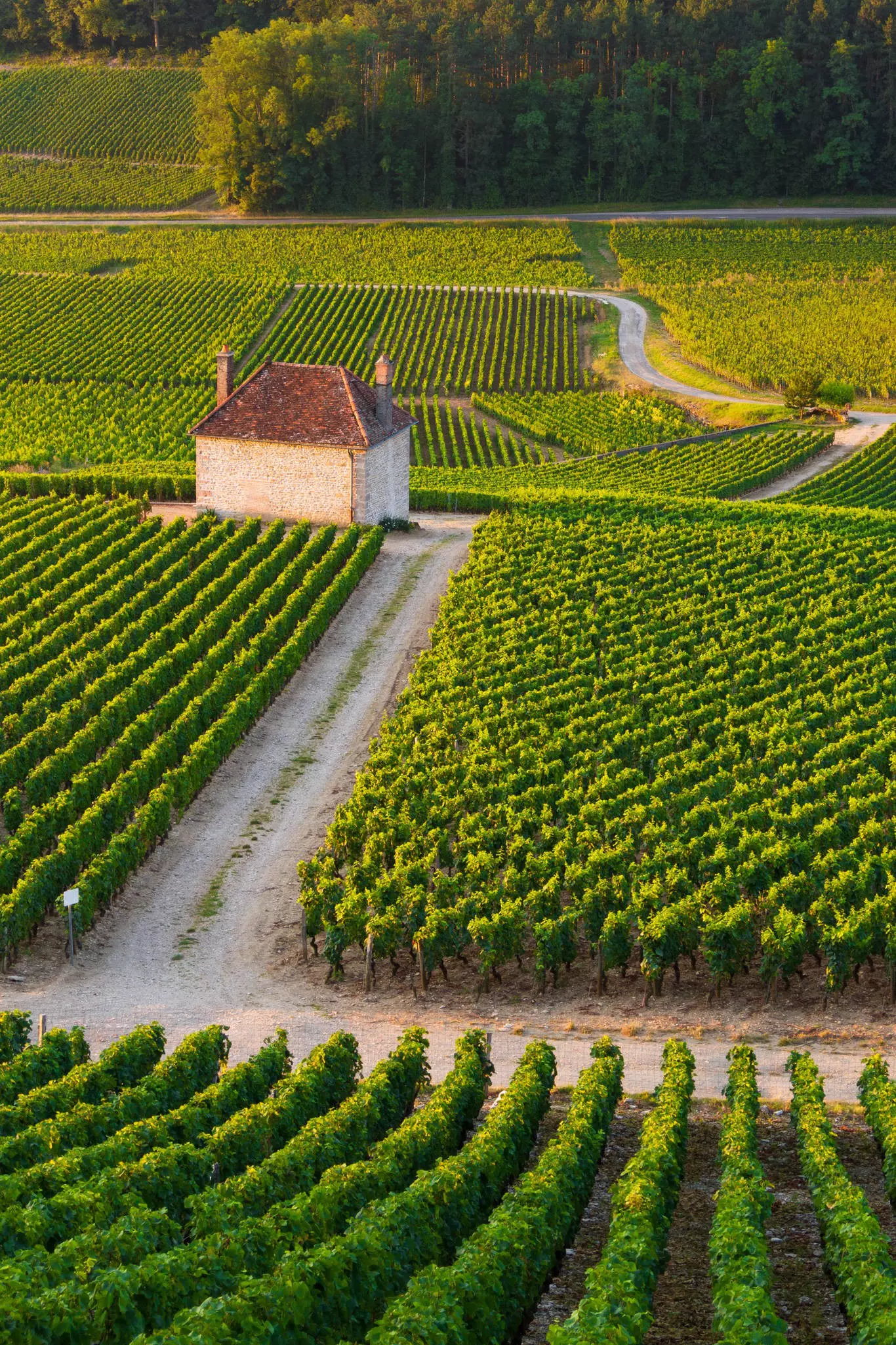 Narrow roads pass through vineyards at the edge of a village. A small stone shelter stands at the corner of a road and vineyard. 
