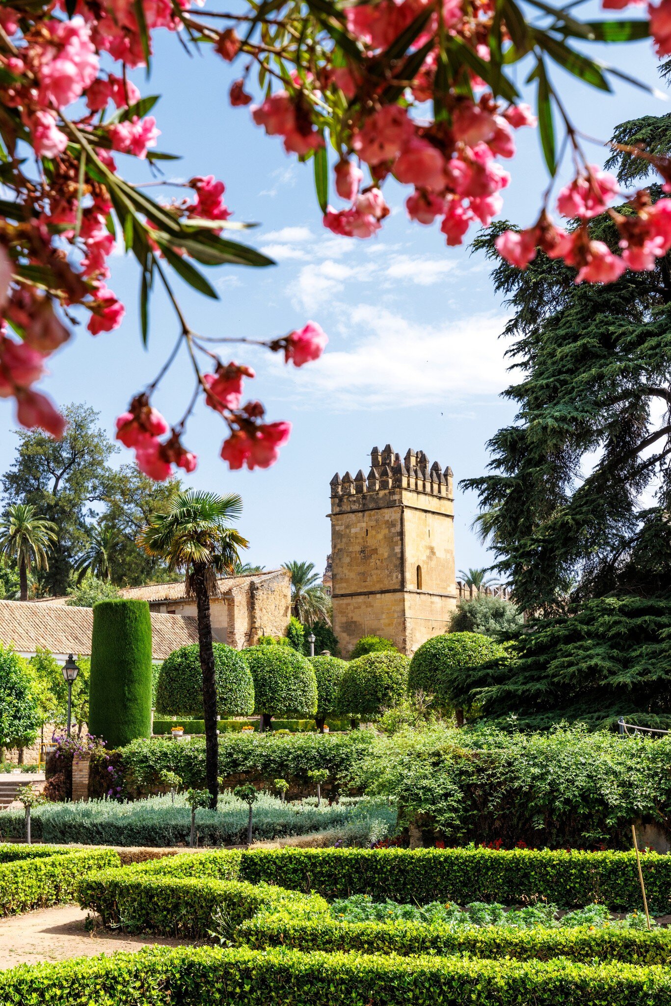 View of the gardens and a tower of the Alcázar de los Reyes Cristianos in Córdoba, Spain, framed by pink flowers.