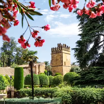View of the gardens and a tower of the Alcázar de los Reyes Cristianos in Córdoba, Spain, framed by pink flowers.