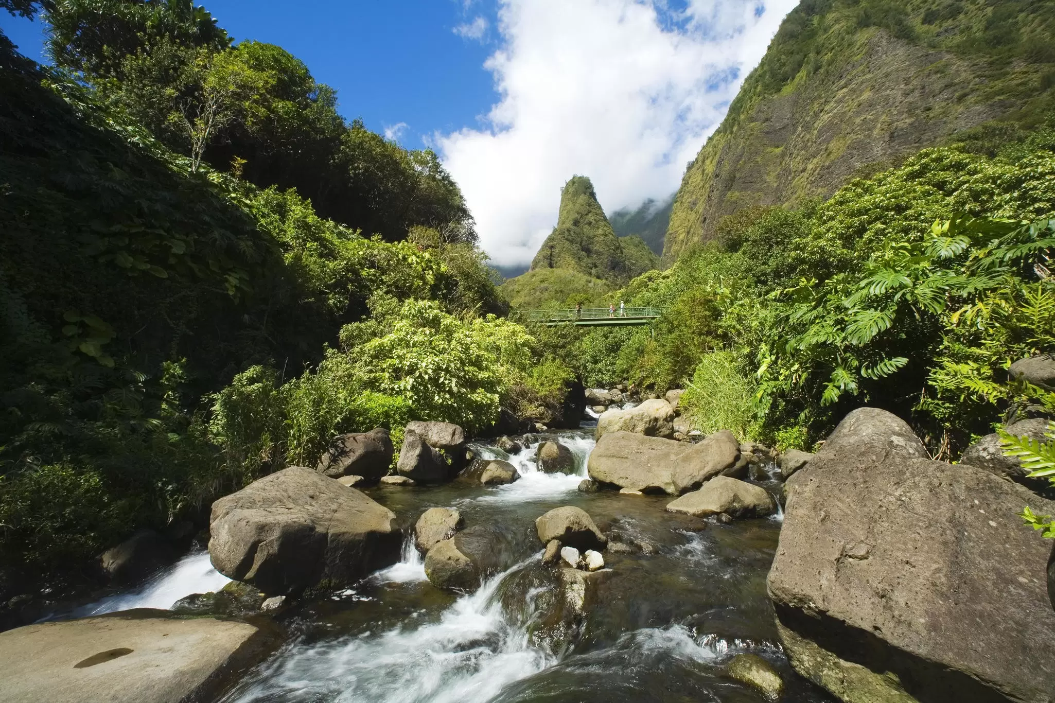 In the aftermath of the Lahaina fire, it is even more important to understand how Native Hawaiian land rights and culture are intertwined with water use © Alamy