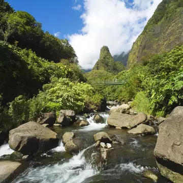 In the aftermath of the Lahaina fire, it is even more important to understand how Native Hawaiian land rights and culture are intertwined with water use © Alamy