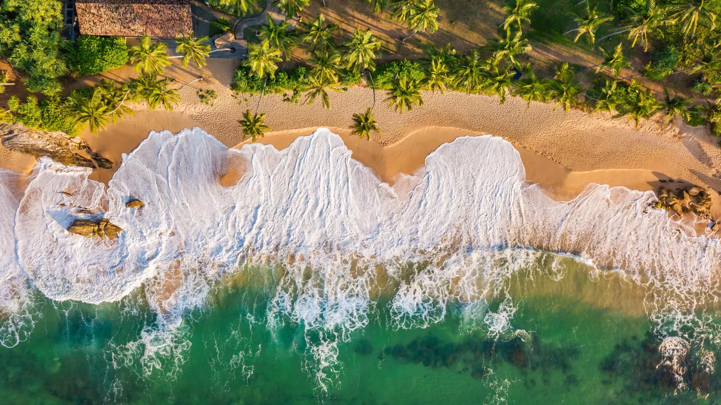 An aerial photo of a coast line with palm trees, sand, white surf and turquoise water