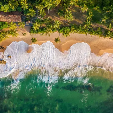 An aerial photo of a coast line with palm trees, sand, white surf and turquoise water