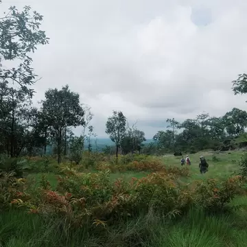 Three people walk through tall grass and bushes in a national park in Cambodia under cloudy skies.