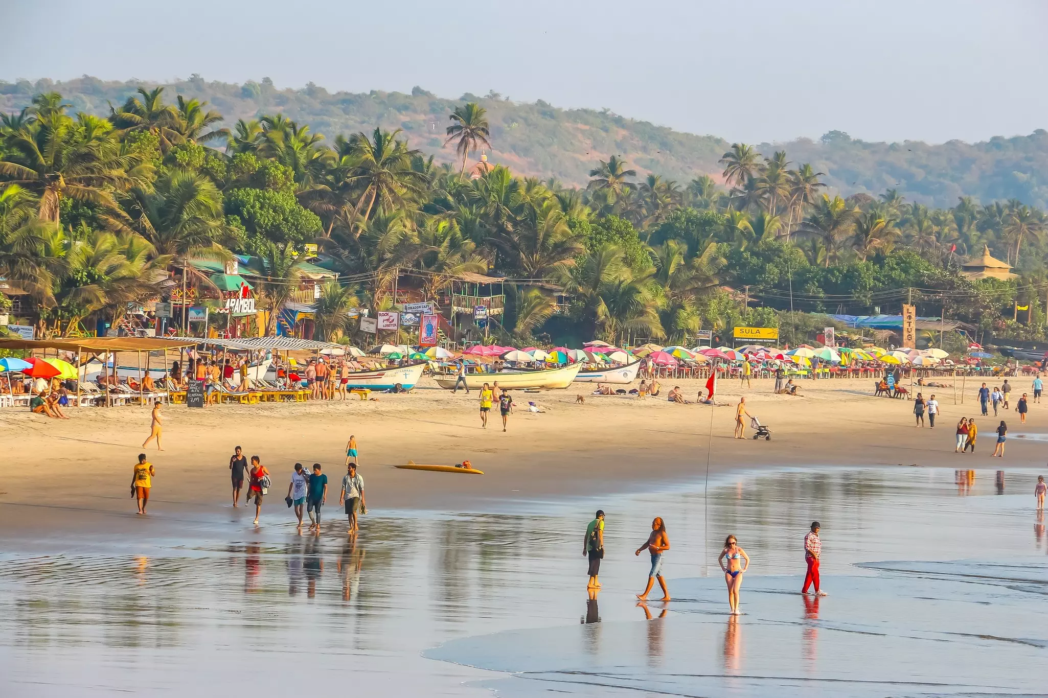 A beach in Goa, India. Denis.Vostrikov/Shutterstock