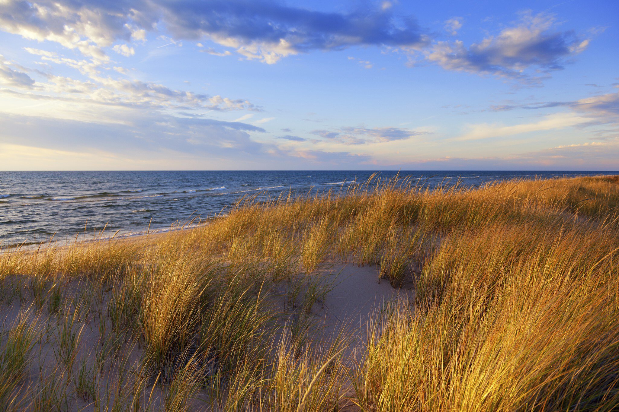 Dune Grass on Lake Michigan
