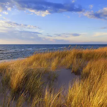 Dune Grass on Lake Michigan