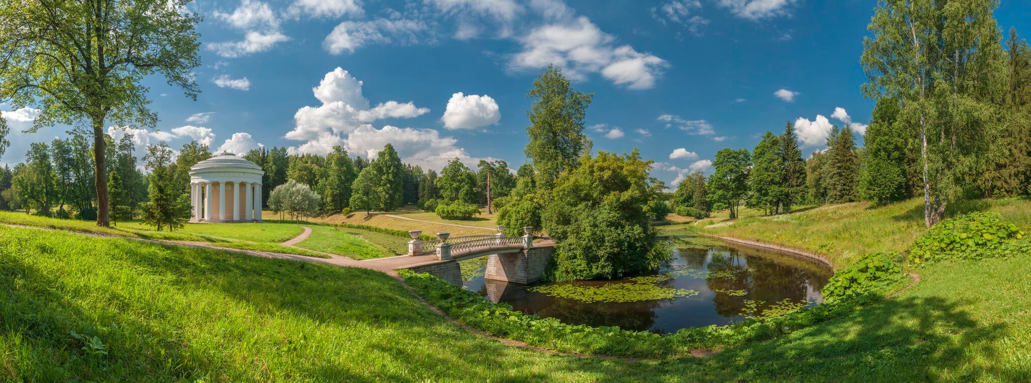 Summer park panorama