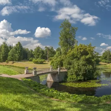 Summer park panorama