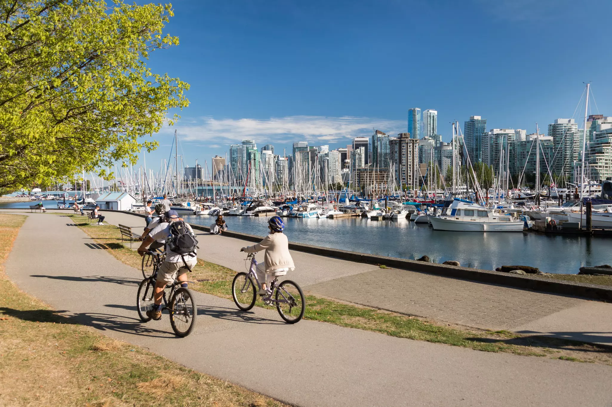 Two cyclists follow a path near a harbor backed by a city skyline.