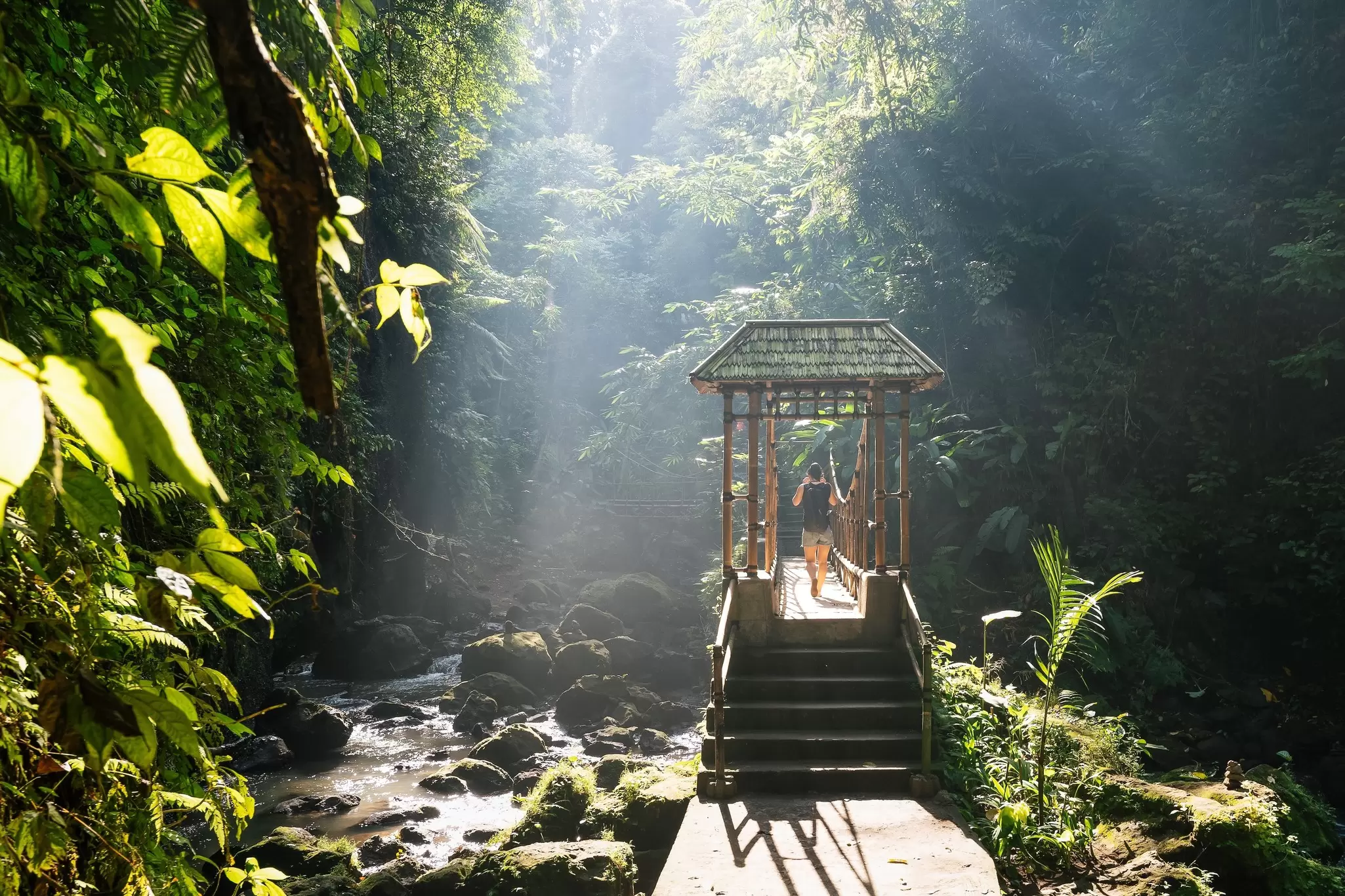 Tourist crosses a wooden suspension bridge in the tropical forest of Bali Island. Mist shrouds the jungle near Ubud, Bali, Indonesia., License Type: media, Download Time: 2025-11-06T18:42:59.000Z, User: katelyn.perry_lonelyplanet, Editorial: false, purchase_order: 65050 - Digital Destinations and Articles, job: wip, client: wip, other: Katelyn Perry