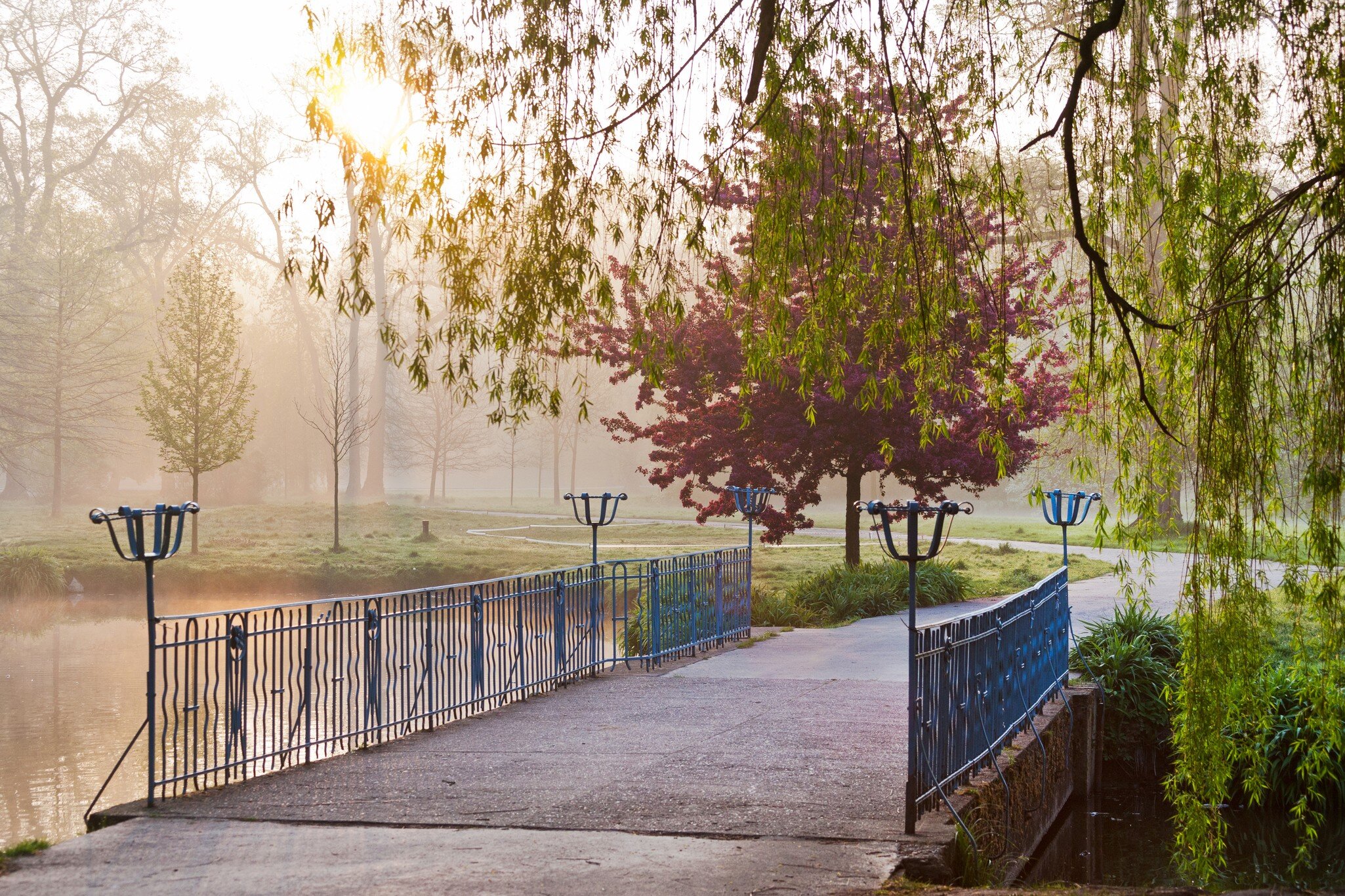 Bridge in the morning misty light, spring garden Stromovka in Prague, Czech Republic.