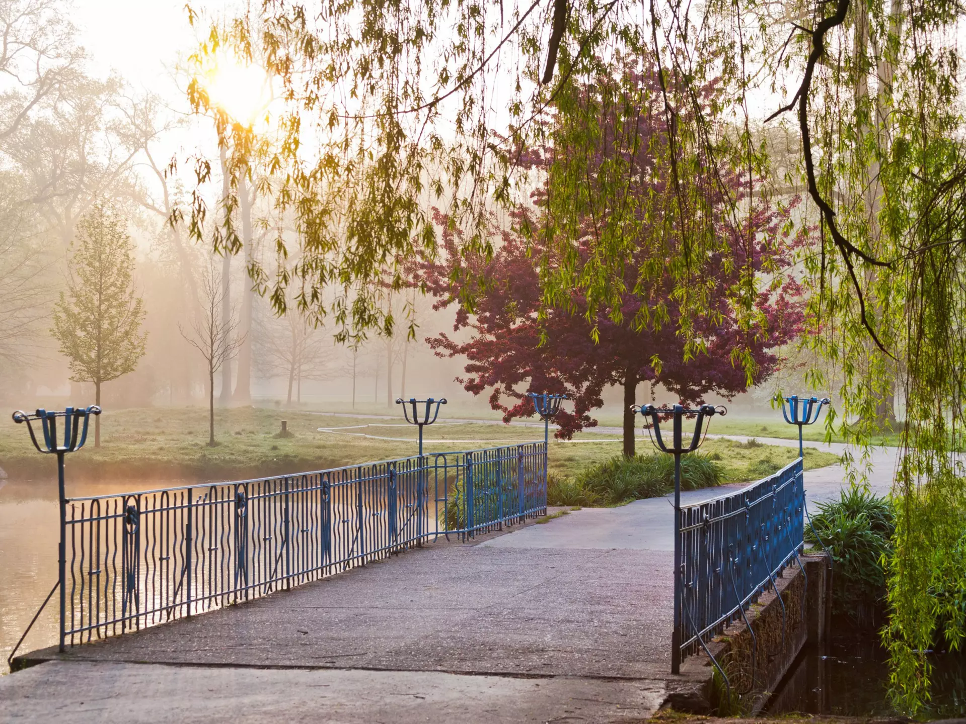Stromovka Park. kaprik/Shutterstock