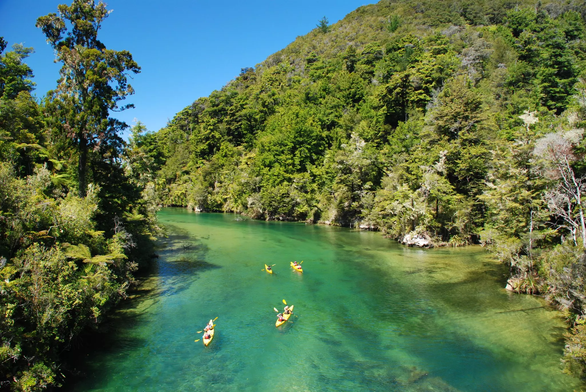 People kayak on a green river through mountains