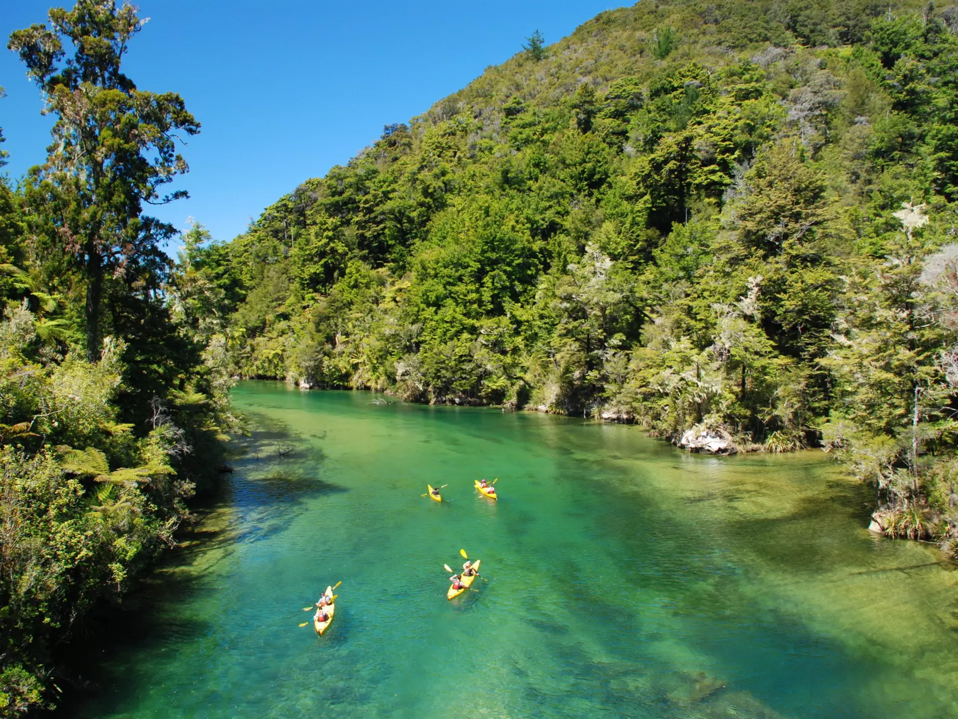 People kayak on a green river through mountains