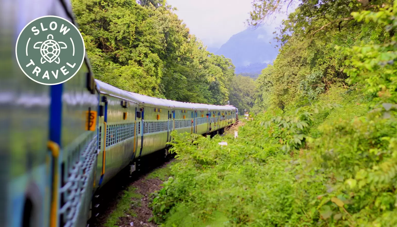 The slow, marvelous trains that crisscross South India offer a wonderful way to discover this vast region © MTD_myTravelDiaries / Shutterstock