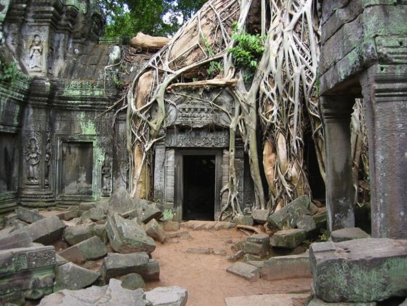 Overgrown temple of Ta Prohm.