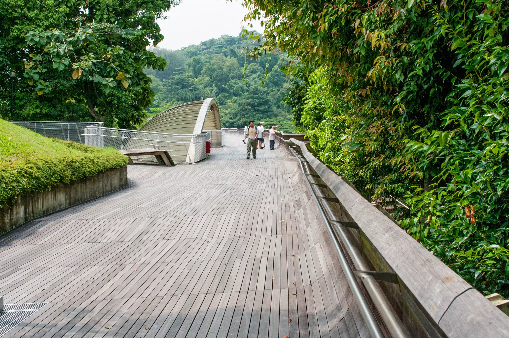 People walk on a bridge made from wooden planks leading through a treetop canopy.