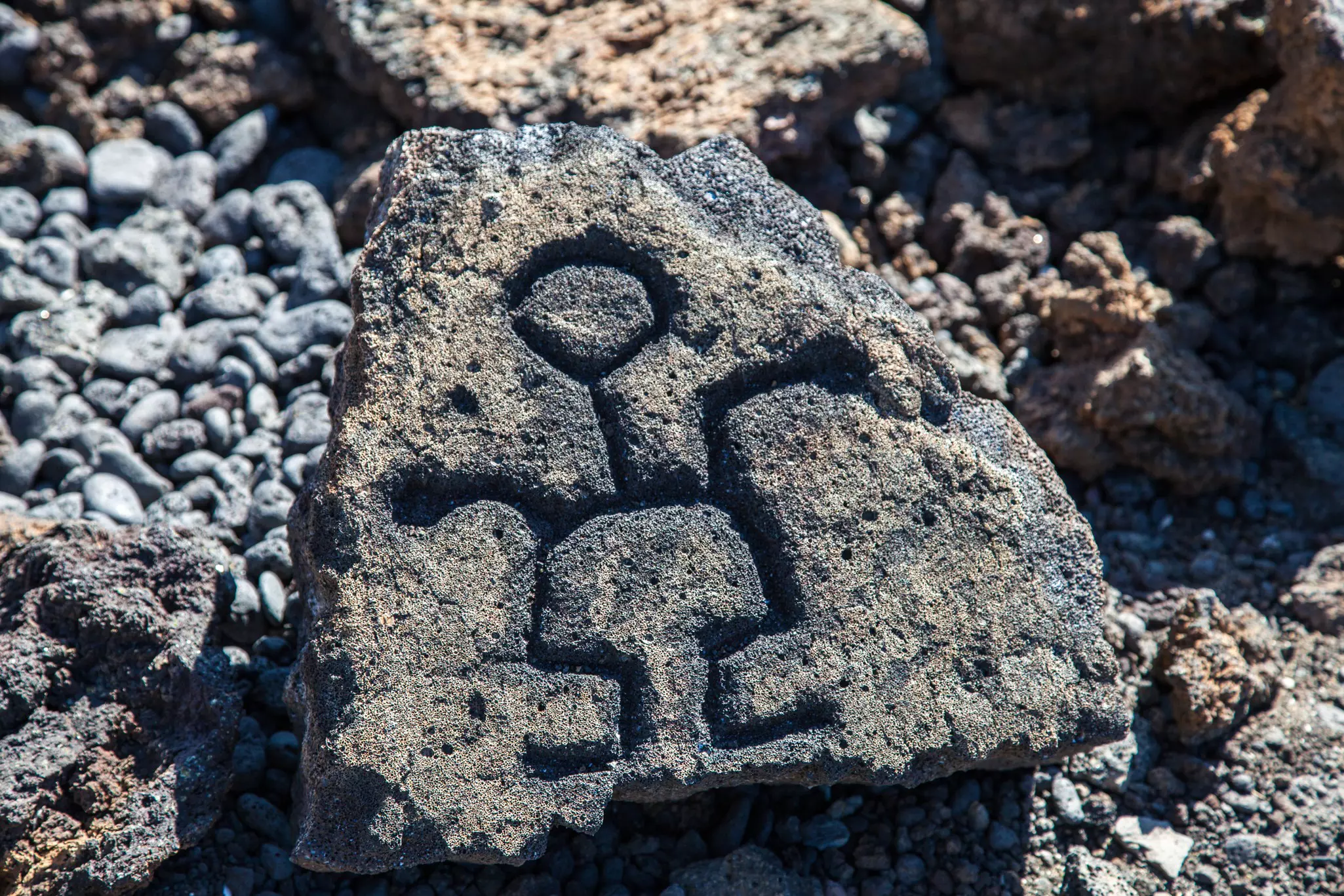 Petroglyphs etched into a rock on the Big Island of Hawaii  