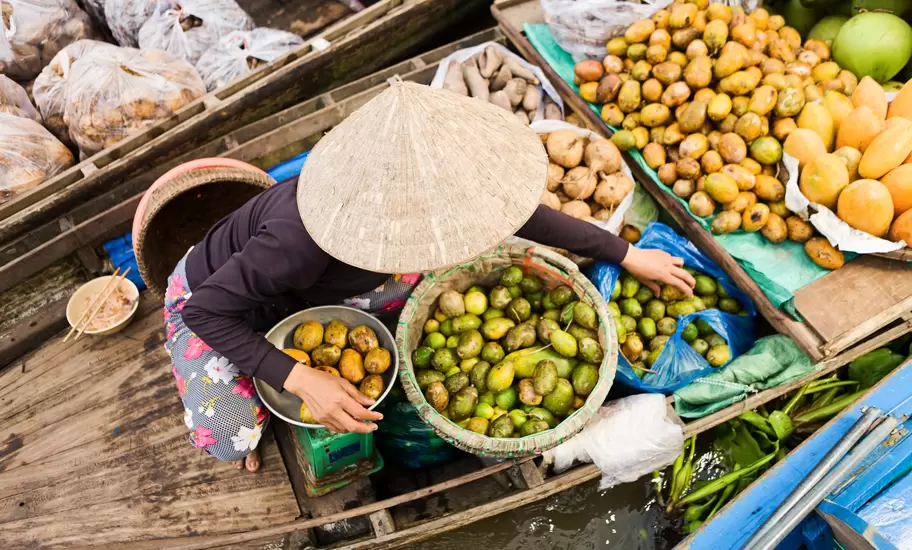 Floating market vendor near Can Tho, Vietnam, in a conical hat sorting mangoes in baskets aboard a wooden boat