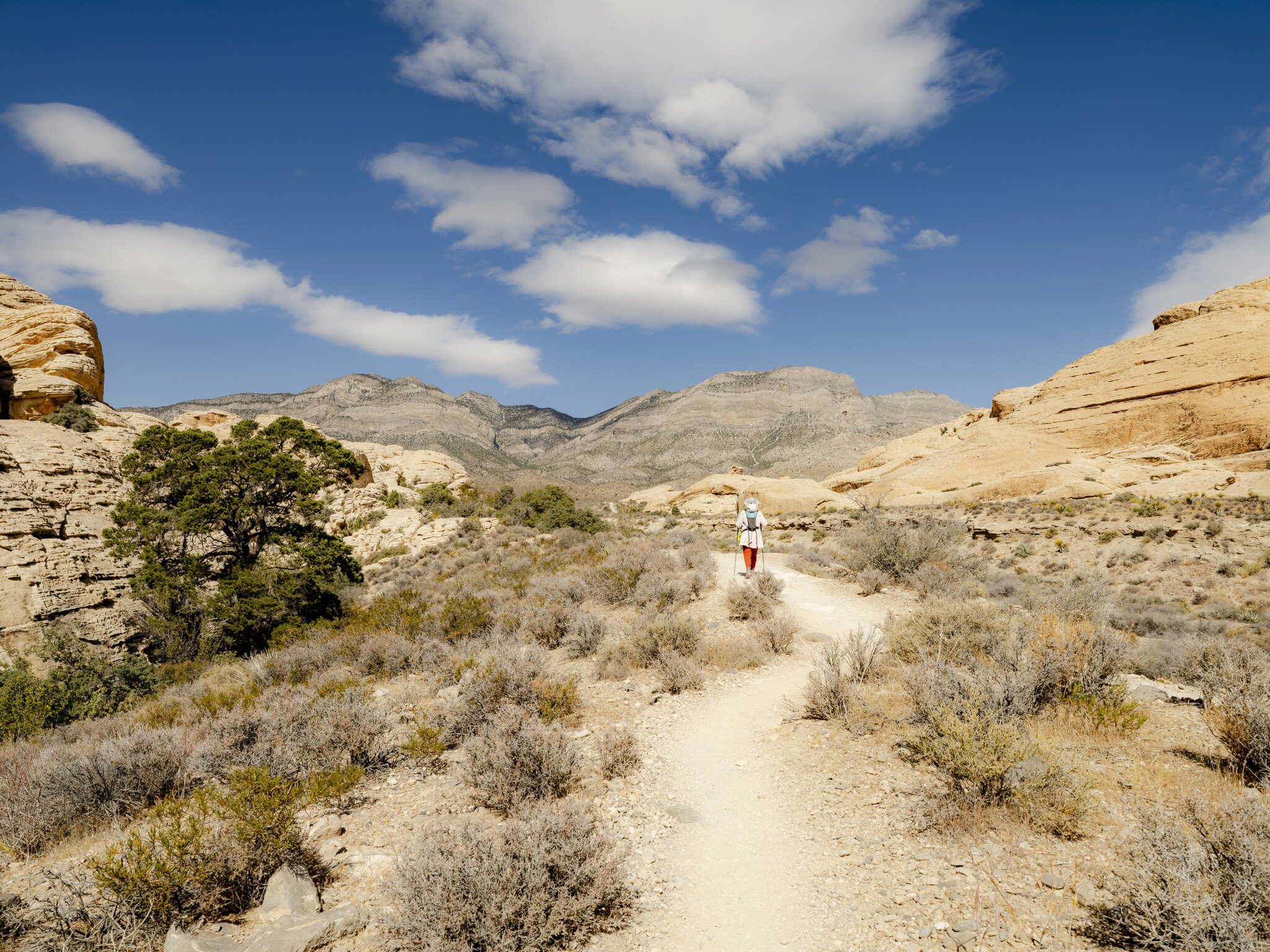 NATURAL NEVADA promotion