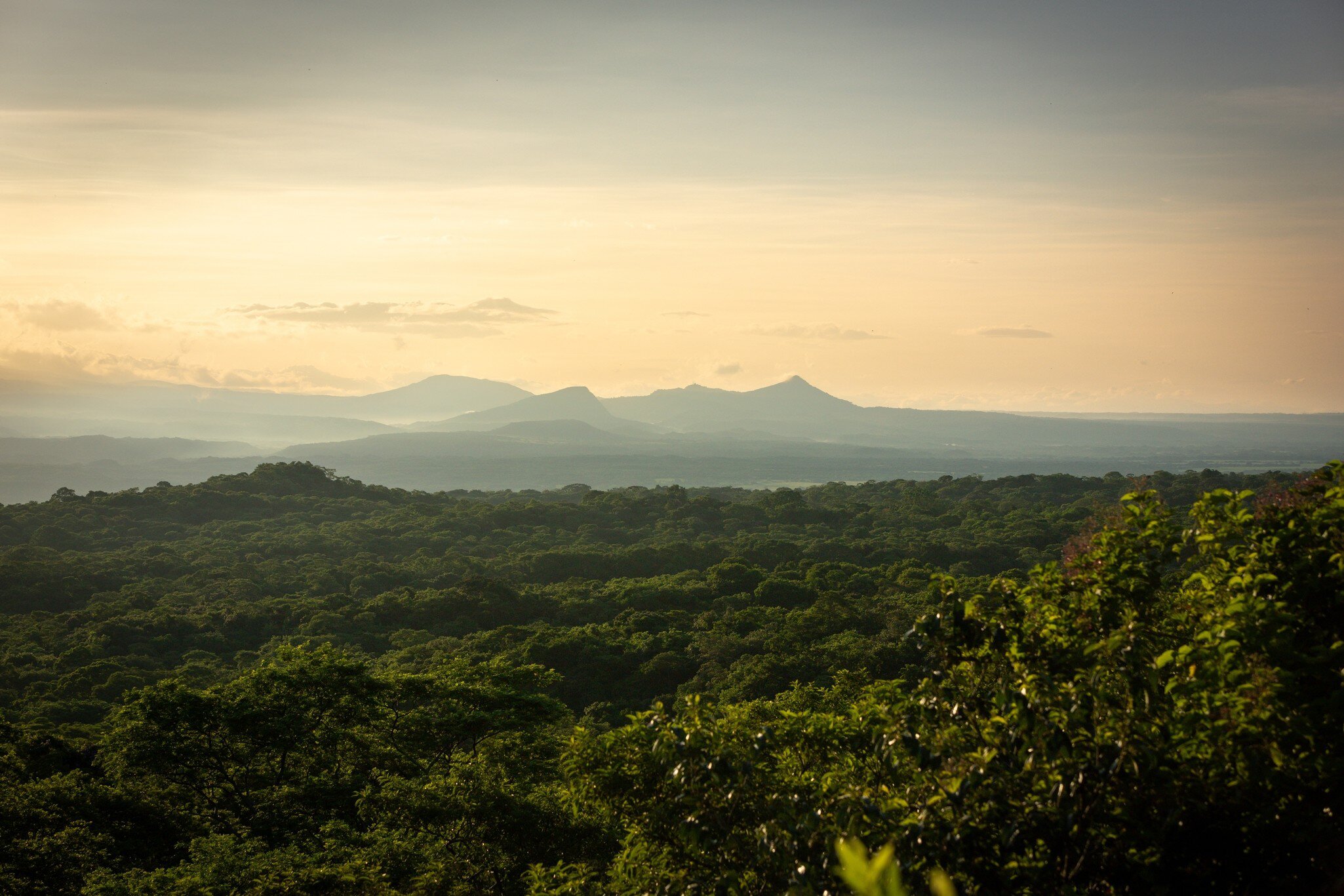 Golden sunrise over the lush forest of Santa Rosa National Park with the Guanacaste volcanic range in the backdrop.
