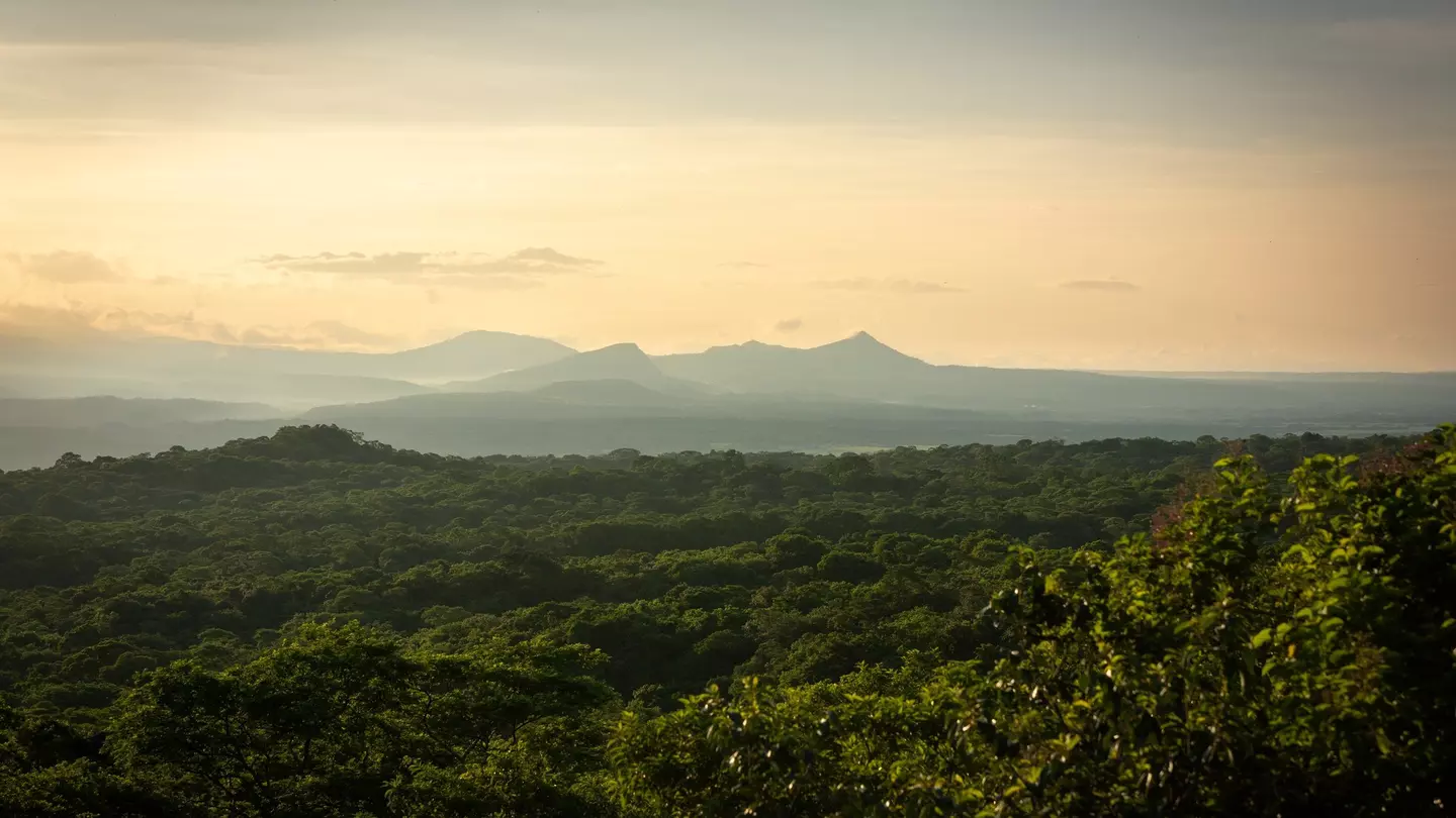 Golden sunrise over the lush forest of Santa Rosa National Park with the Guanacaste volcanic range in the backdrop.