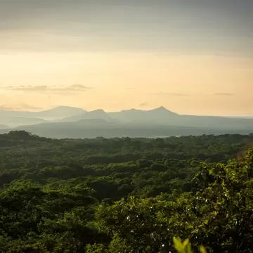 Golden sunrise over the lush forest of Santa Rosa National Park with the Guanacaste volcanic range in the backdrop.