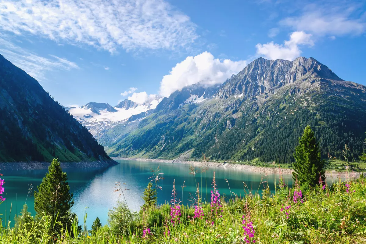 Crystal clear alpine lake Schlegeis with colorful flowers and mountain peaks in background, Schlegeis, Zillertal Alps, Mayerhofen, Austria