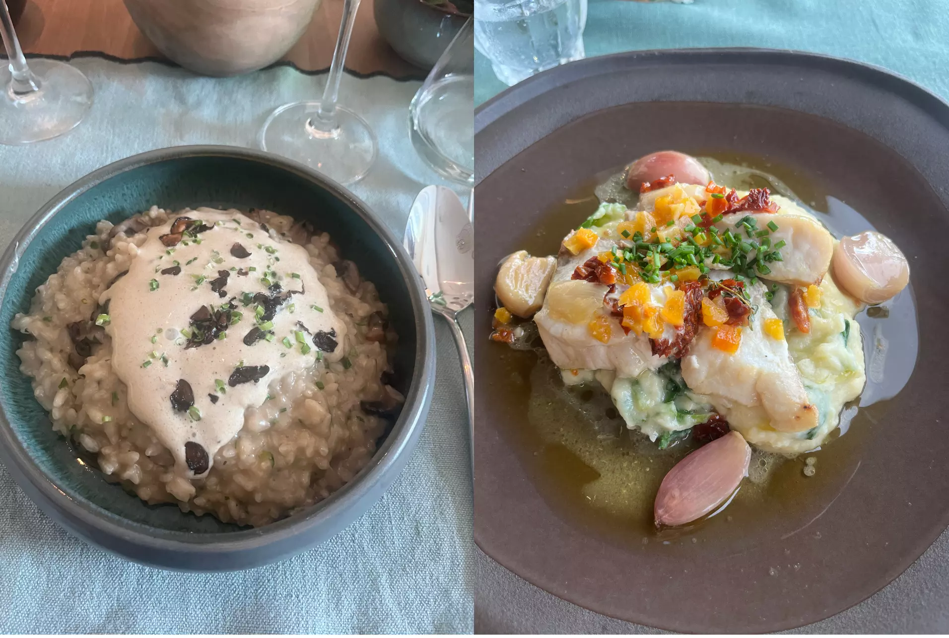 A composite with a bowl of mushroom risotto on the left and a fish dish on the right.