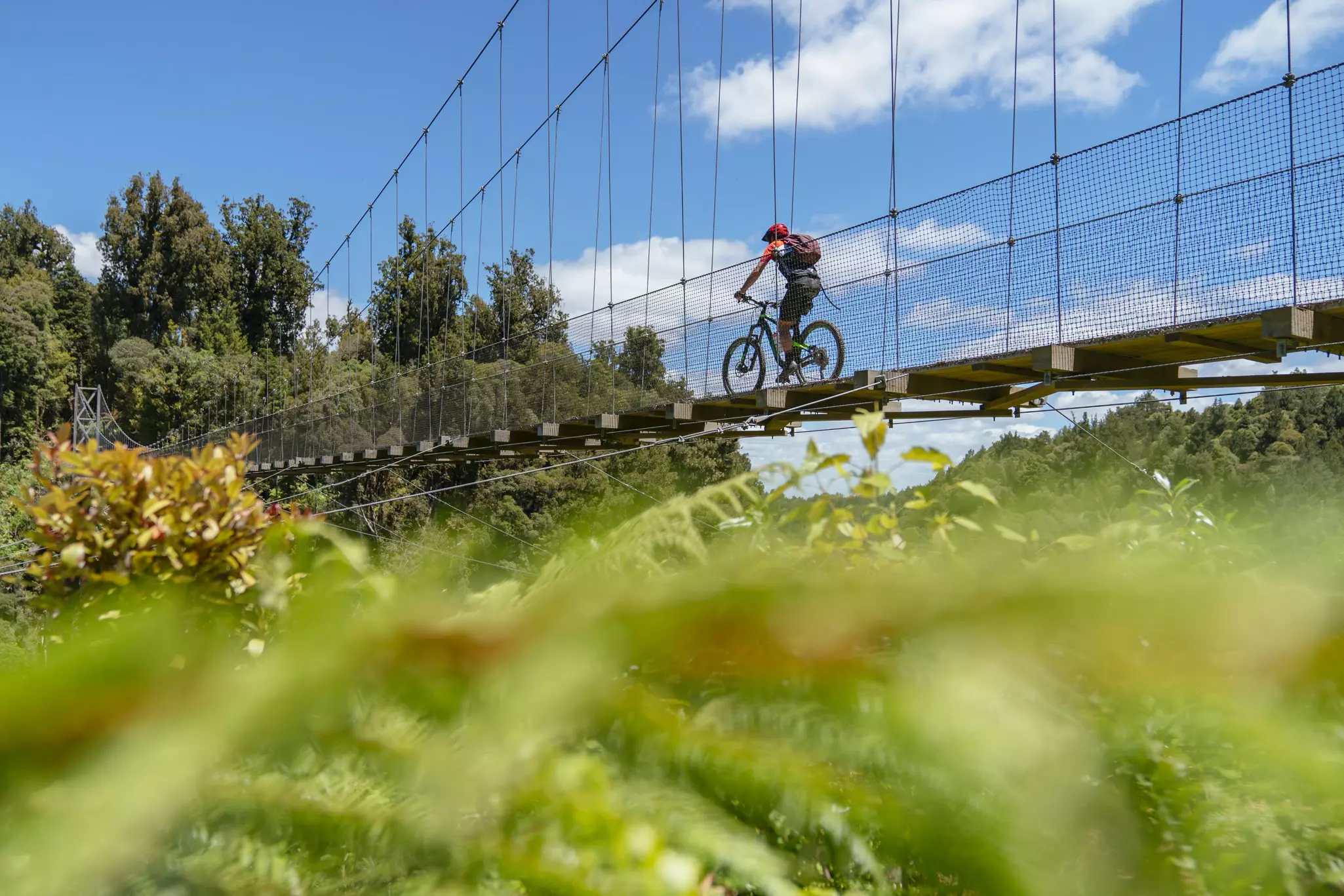 New Zealand’s network of cycling trails will take you through forests, across bridges and more © Andrew Peacock / Getty Images