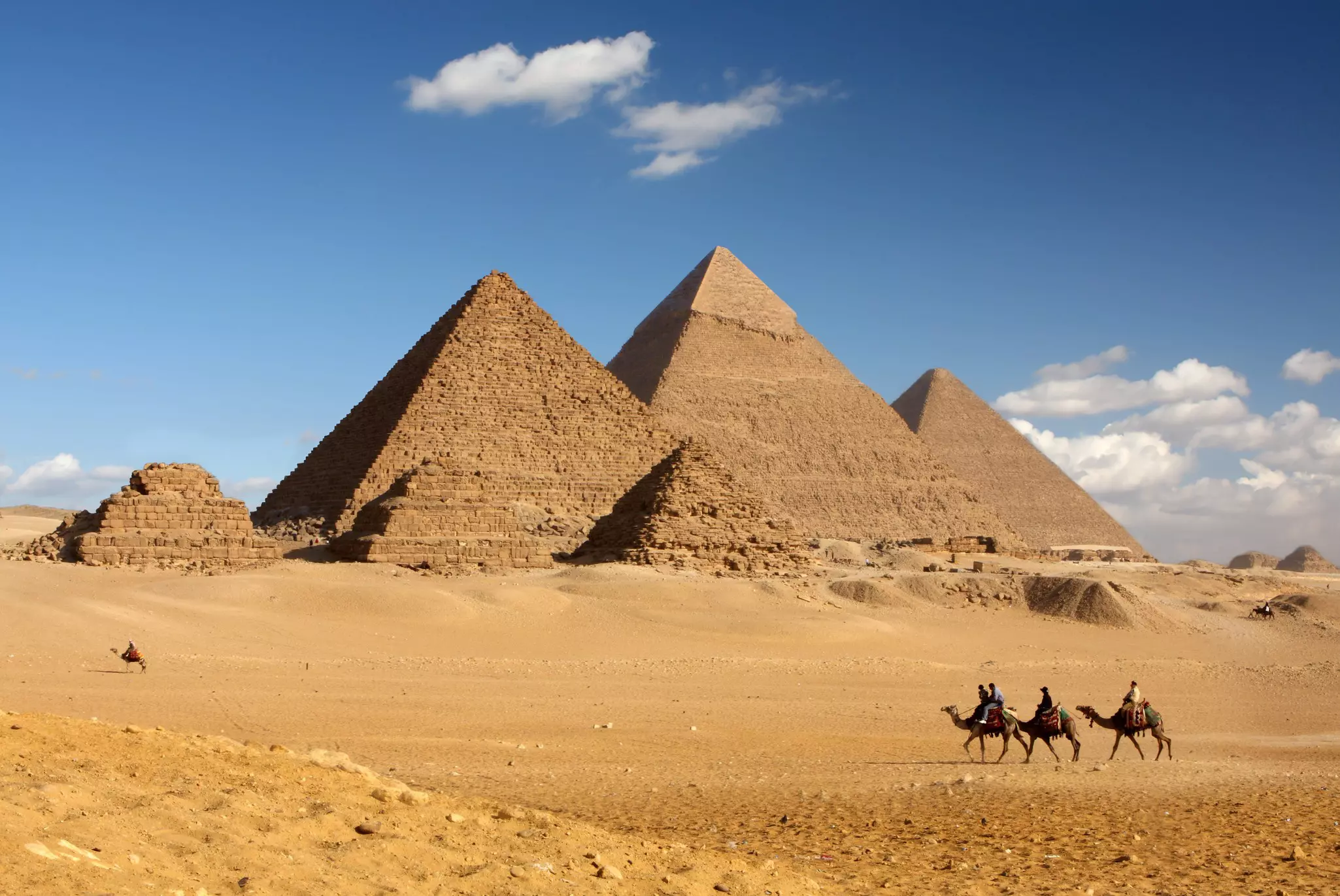 Camels walk past the Pyramids of Giza in Egypt. sculpies/Shutterstock