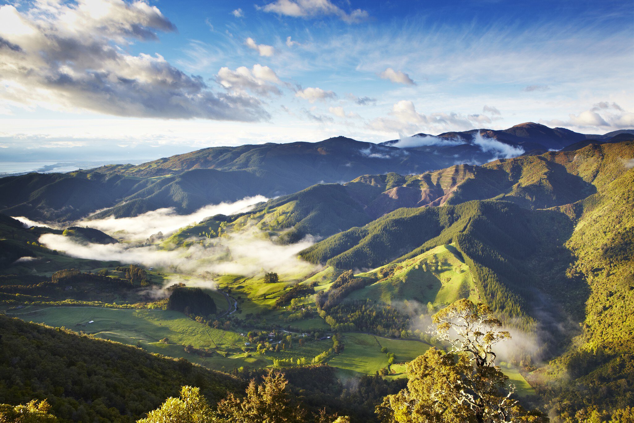 Riwaka Valley seen from Hawkes Lookout near Motueka.