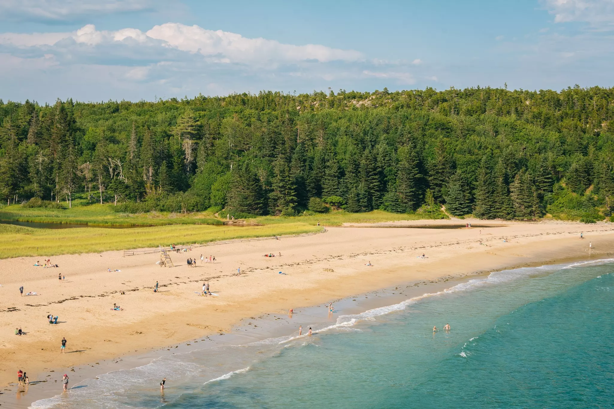 View of the Sand Beach in Acadia National Park, Maine, License Type: media, Download Time: 2025-08-07T15:40:55.000Z, User: rhylton_redventures, Editorial: false, purchase_order: 65050 - Digital Destinations and Articles, job: Lonely Planet , client: wip, other: Rhianydd Hylton