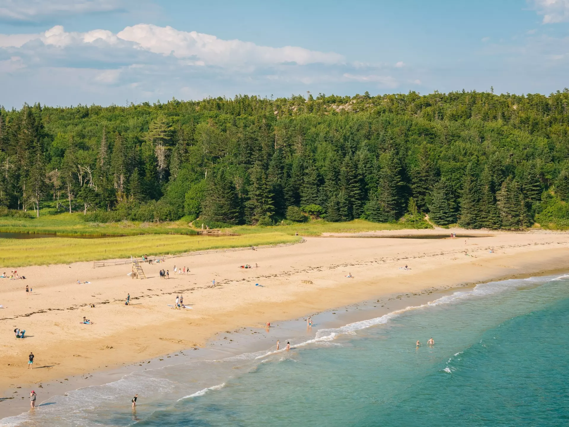 View of the Sand Beach in Acadia National Park, Maine, License Type: media, Download Time: 2025-08-07T15:40:55.000Z, User: rhylton_redventures, Editorial: false, purchase_order: 65050 - Digital Destinations and Articles, job: Lonely Planet , client: wip, other: Rhianydd Hylton