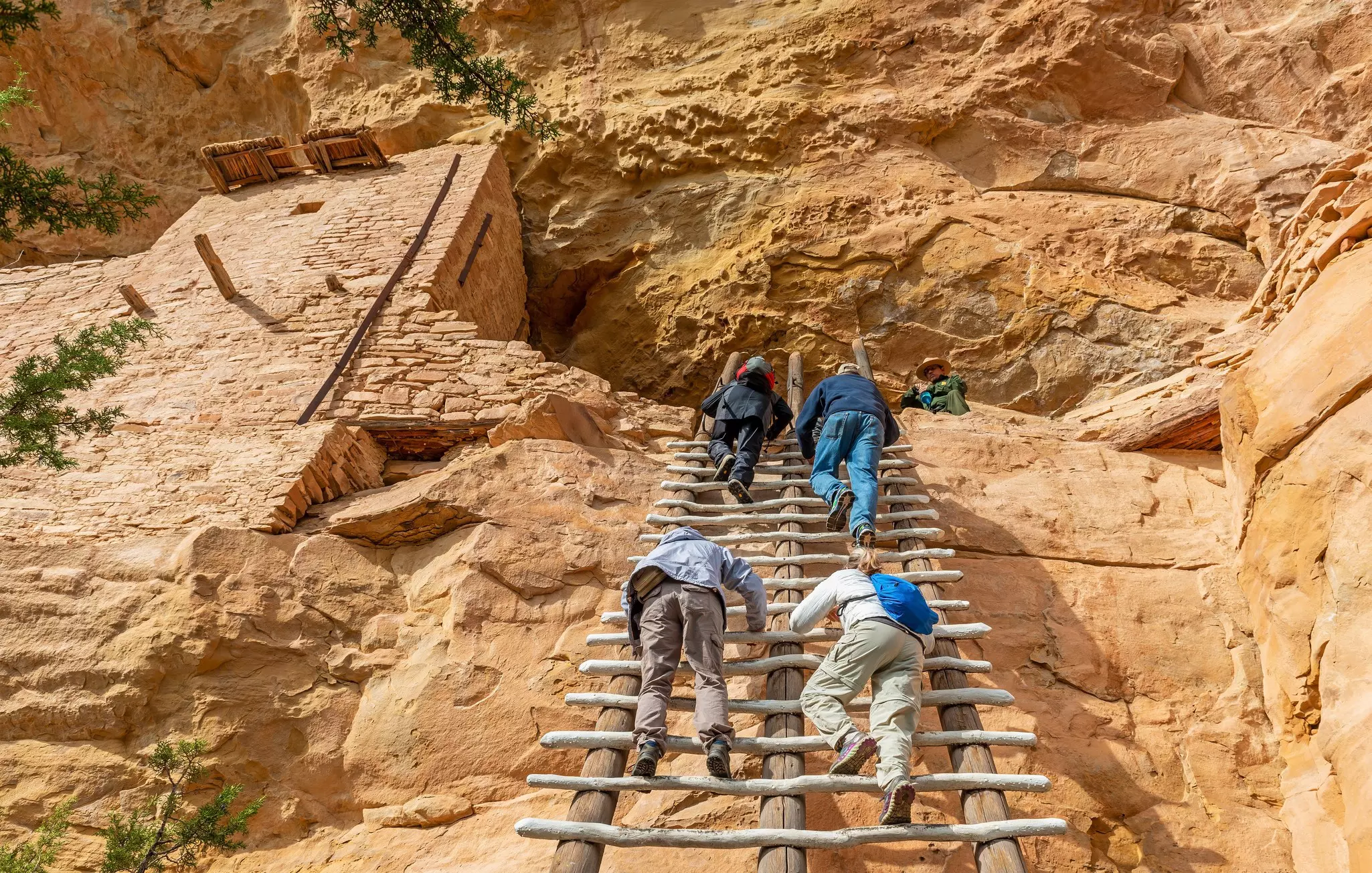 Four people climb a wooden ladder with a person watching from above with a Native American adobe structure to their left.