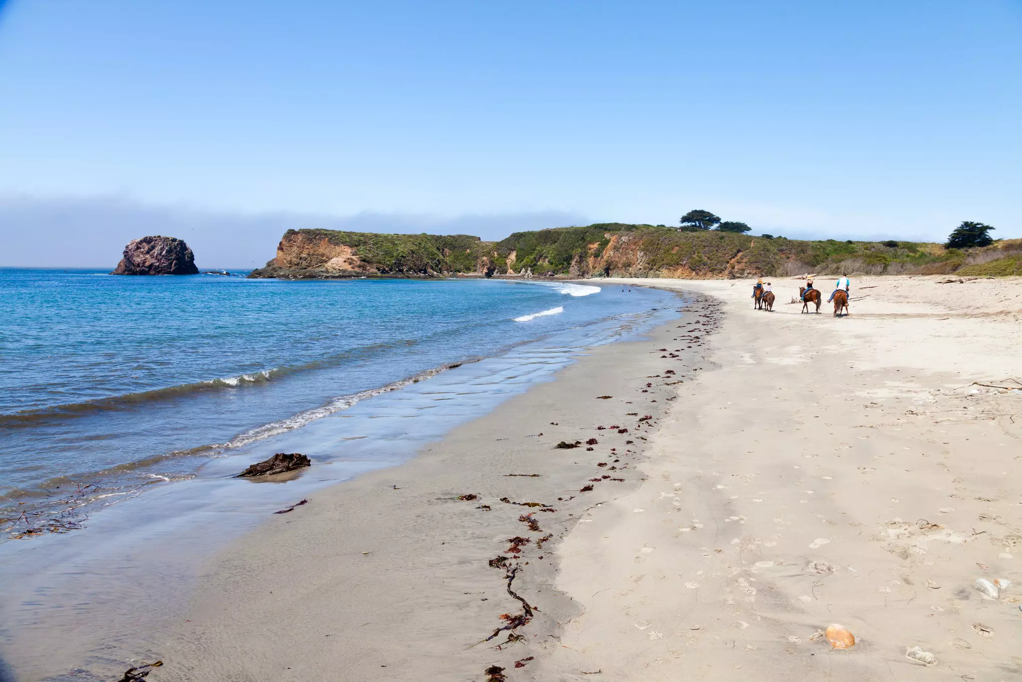 Horse riders on beach