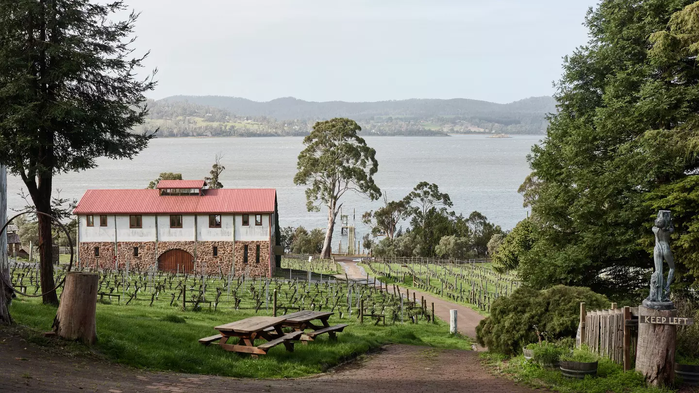 A lakeside vineyard and winery with picnic benches.