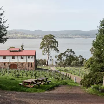 A lakeside vineyard and winery with picnic benches.
