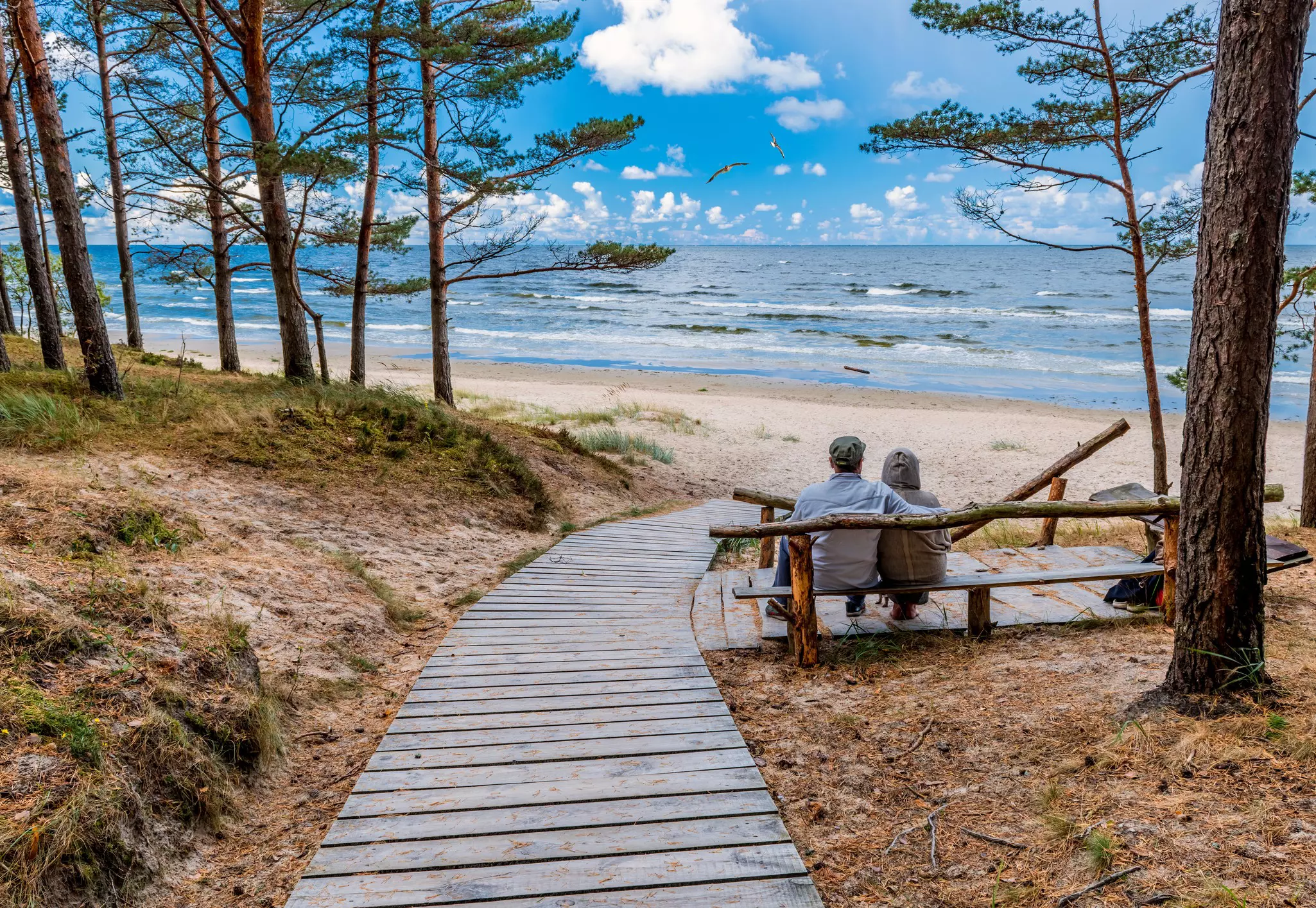A couple seated at a coastal landscape with a wooden footpath leading to the Baltic Sea