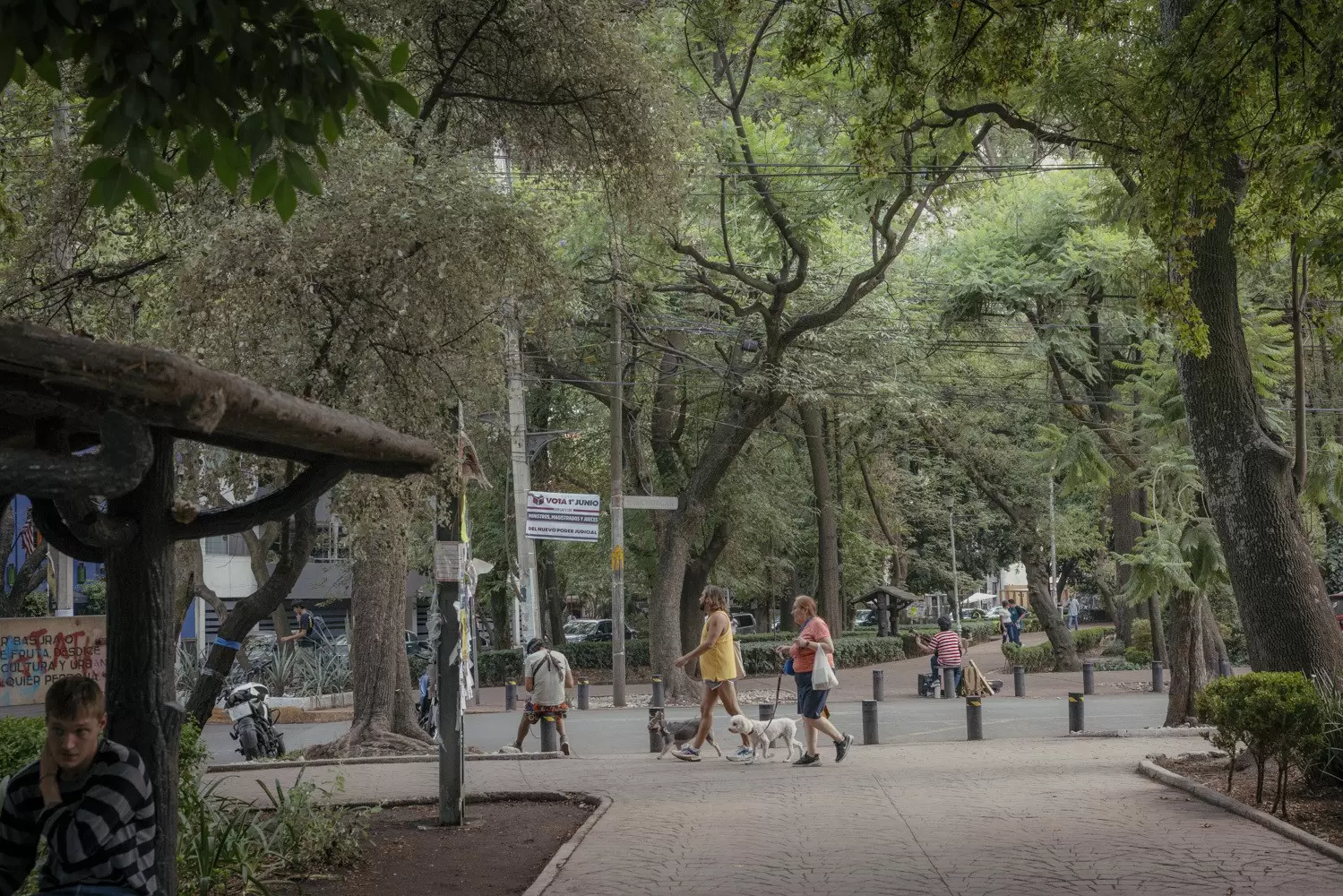 People walking their dogs in Parque México in Mexico City.