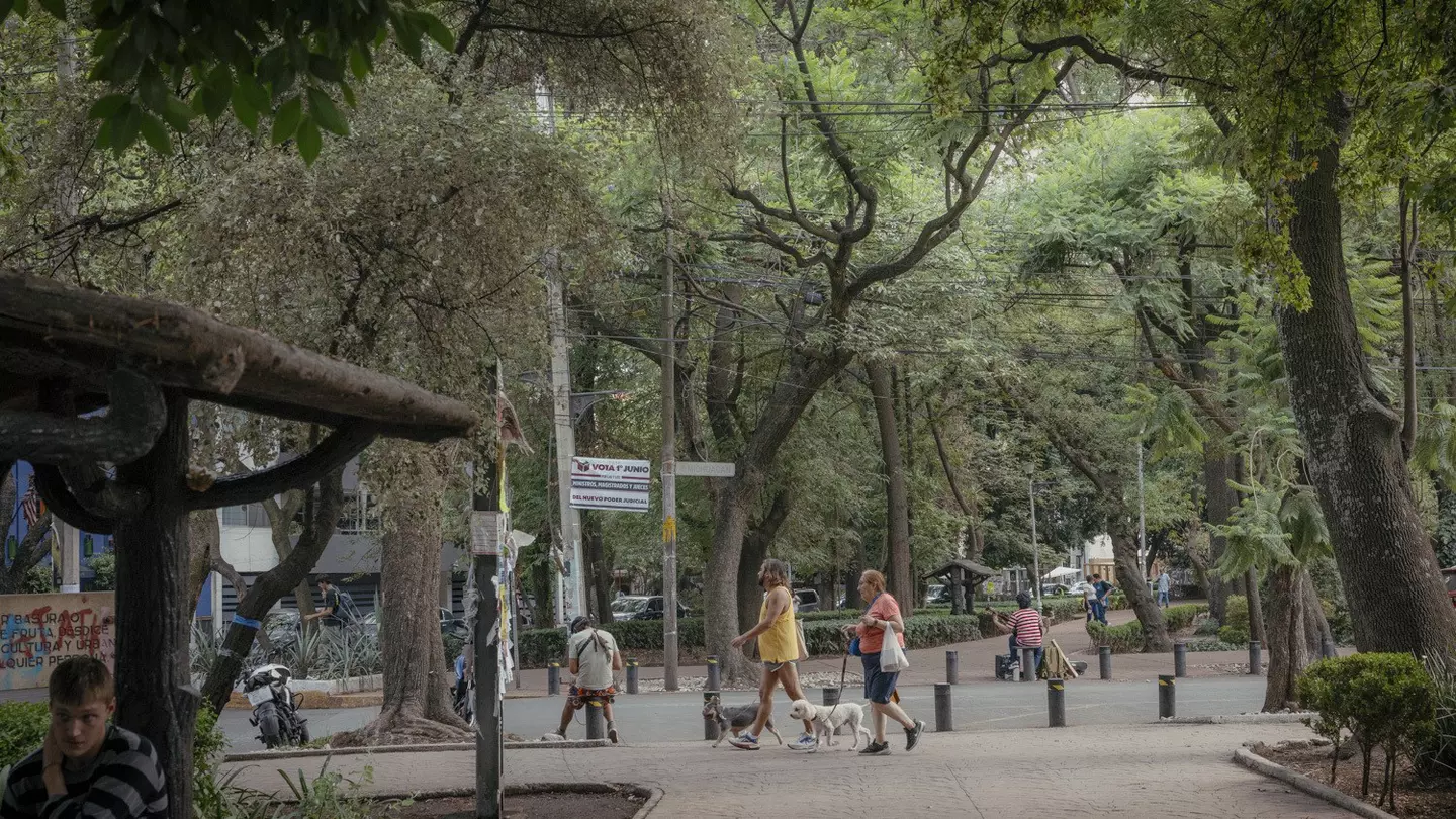 People walking their dogs in Parque México in Mexico City.