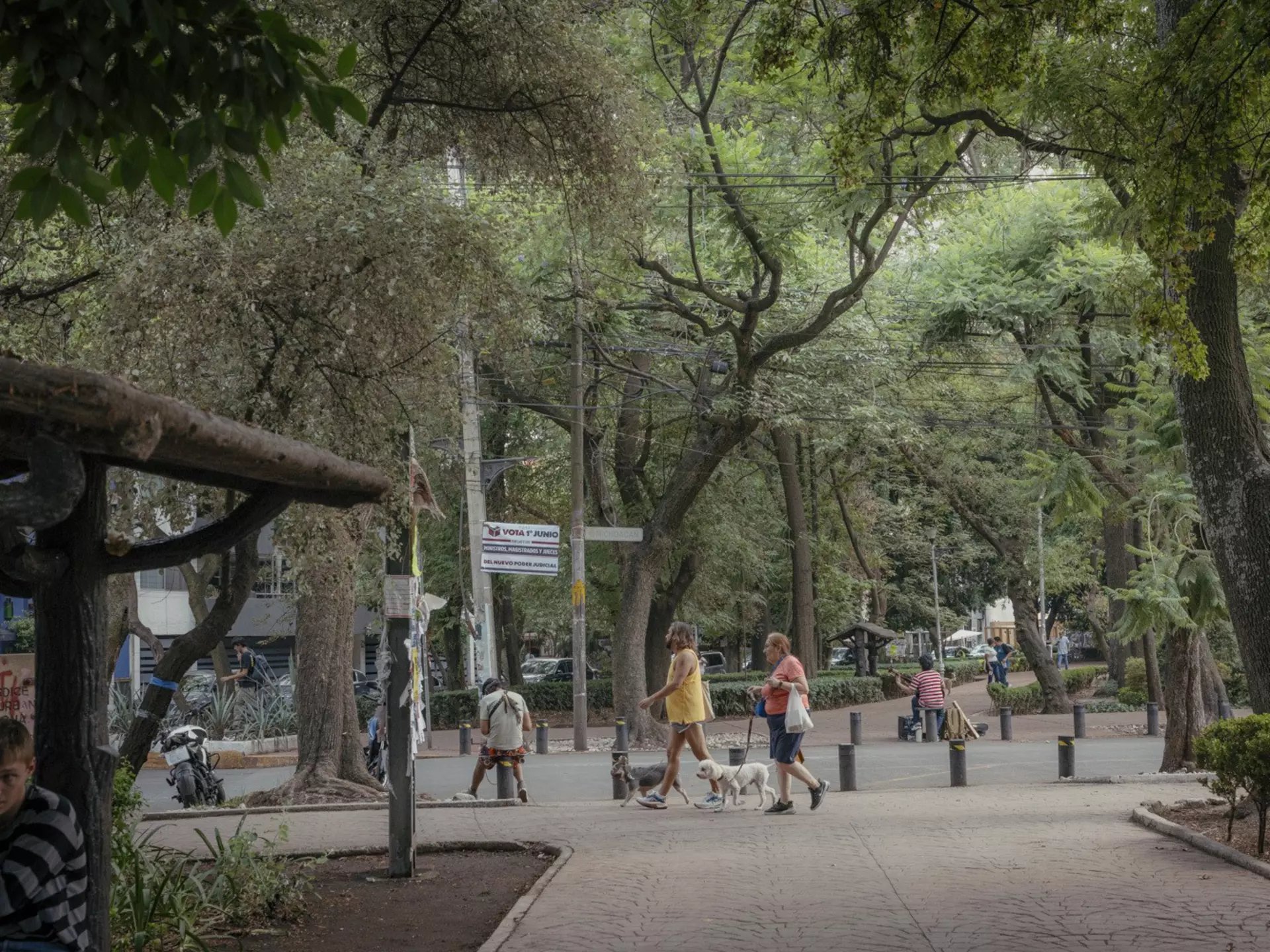 People walking their dogs in Parque México in Mexico City.