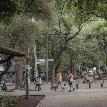 People walking their dogs in Parque México in Mexico City.